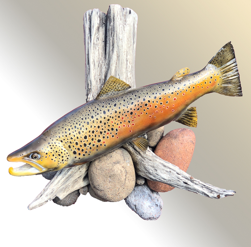 Taxidermy trout with driftwood and rocks